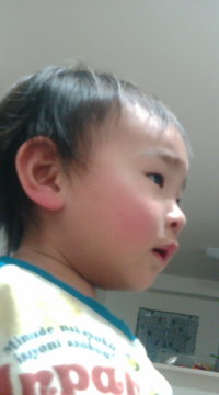 怖い・・・・。