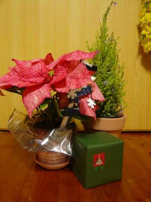 クリスマスツリー★