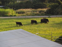 お盆休み＾＾ 2008/08/14 09:56:08