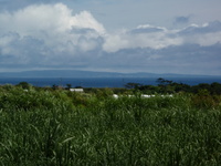 隣の島 2008/07/31 22:25:58