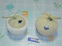 贈り物＾＾ 2008/06/25 19:00:00