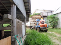 堆肥出し(^_-)-☆ 2008/06/30 20:11:20