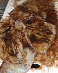 いただき物で・・・ 2008/08/03 19:00:00