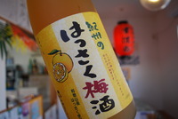 明日から新登場！ 2009/09/21 00:34:14