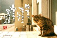 欲アリ欲ヌキ 2018/01/10 16:42:55