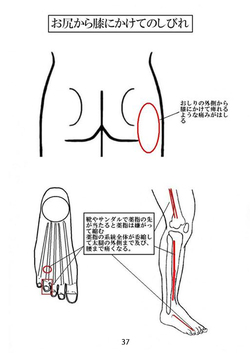 天城流湯治法　腰のしびれ