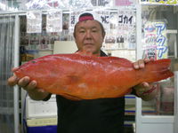 年中狙えます！テンヤ釣り！ 2016/12/04 12:00:00