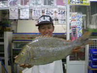 釣ったもん勝ち！ 2016/10/23 12:00:00