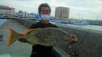 令和２年　１月１０日　喜納　勝男さん / ウムナガー　５，５４ｋｇ 2020/01/20 19:27:30