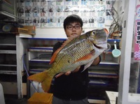 令和元年11月13日 比嘉 大和さん/クチナジ 43.5cm、1.3kg 2019/11/13 18:00:00