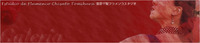 フラメンコlive 2月17日（日）