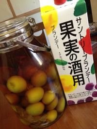 ブランデー梅酒☆