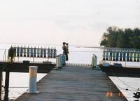 Tahiti～１９９４～