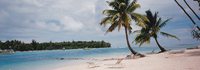 Tahiti～１９９４～