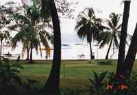 Tahiti～１９９４～