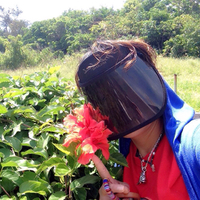 沖縄暮らしでやっておきたいこと 2015/04/27 01:21:29