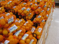 スーパーの商品は秋 2008/11/08 10:20:00