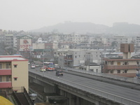 恵みの雨 2009/03/09 17:04:31