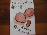 絵手紙 2009/06/10 01:16:55