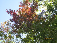 旅の記録 2009/10/15 22:30:08