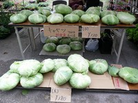 おきなわ花と食のフェスティバル