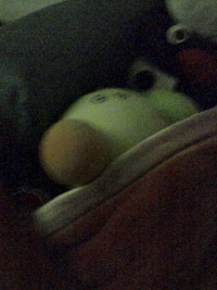 酒を飲んで後悔する事 vol.109 2006/06/03 19:38:00