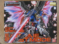 ランナー　デスティニーガンダム E.B.M(1/100MG) 2008/11/08 20:06:48