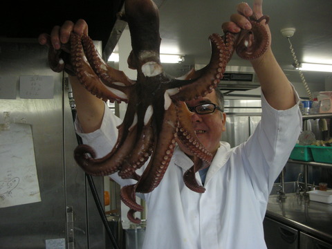 ＮＥＷ　ＳＴＡＦＦ
