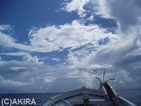 お魚まつり 2008/10/11 03:21:53
