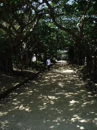 「まぶや～」について！！ ＩＮ 沖縄県