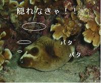 暴風にご注意を！ 2007/09/17 23:46:59