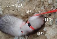あがやぁ～ 2007/09/12 09:30:00