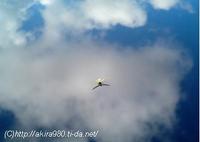空へ！ 2007/09/20 09:32:27