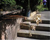 自由研究（案） 2008/07/31 09:27:00