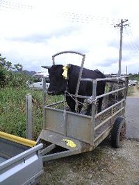 お願解き 2009/01/19 14:08:56