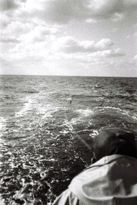 海を越えて 2012/06/05 22:06:48