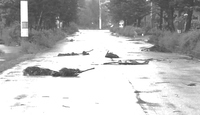 この目で。 2012/08/26 19:22:00