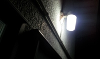 私が私で。。。 2012/12/08 22:11:32