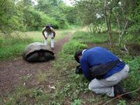 一度は行ってみたい楽園 2012/04/22 10:44:18