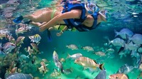 明日の朝もTVでメキシコ☆ 2012/09/14 10:51:33