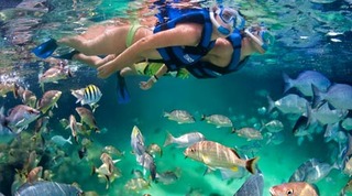 明日の朝もTVでメキシコ☆