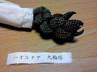 お久しぶりです 2009/11/04 23:56:24