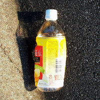 紅茶花伝・・・ゴミになりました 2009/05/14 12:04:11