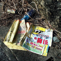 タウンページ他・・・ゴミになりました 2009/06/02 14:54:32