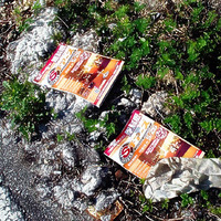 就職情報誌チアーズ他・・・ゴミになりました 2009/06/02 15:17:49