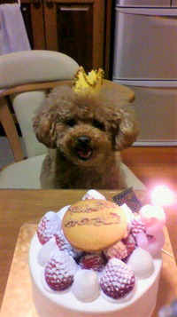 お誕生日会 2011/09/21 14:40:50