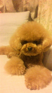 shampooの日 2011/10/03 20:44:31