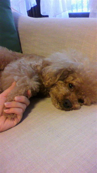 ねむねむ(-.-)Zzz 2011/10/04 10:00:54