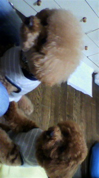 実家4日目 2011/11/07 16:22:48