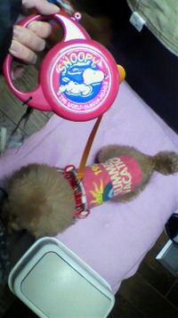 届いた(^O^) 2011/11/24 17:05:20